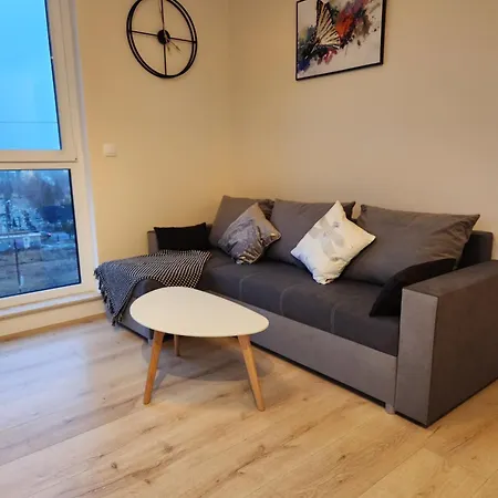 Apartment Apartament Golden Dragonfly