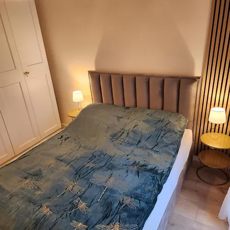 Apartament Golden Dragonfly Apartment